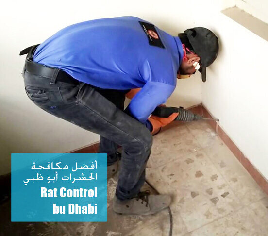 Rat Control Abu Dhabi